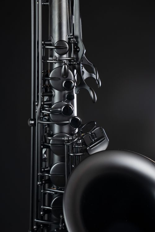 Tenor-Saxophon-Selmer-Supreme-2025-LIMITED-EDITION_0011.jpg