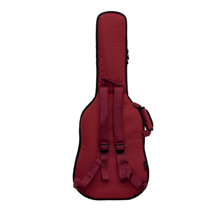E-Gitarre-Ritter-Modell-Gig-Bag-Davos-Electric-Gui_0003.jpg