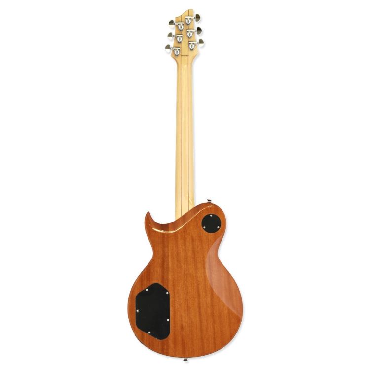 E-Gitarre-Aria-Modell-PE-480-HH-SBK-grau-schwarz-_0004.jpg