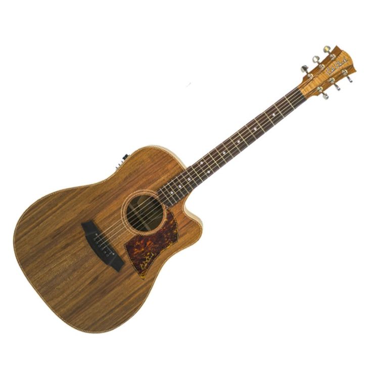 Westerngitarre-Cole-Clark-Modell-FL2EC-BLBL-Cut-EQ_0003.jpg