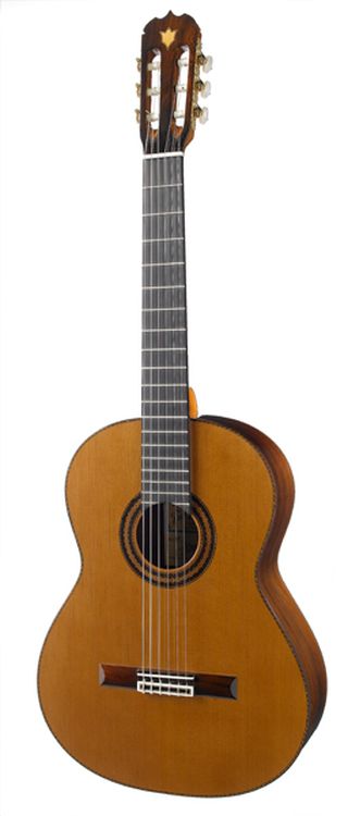 klassische-Gitarre-Ramirez-Modell-Elite-Trad-Ficht_0001.jpg