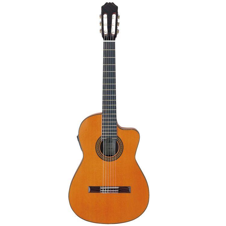 klassische-Gitarre-Aria-Modell-AC-25CE-Cut-PU-Zede_0001.jpg