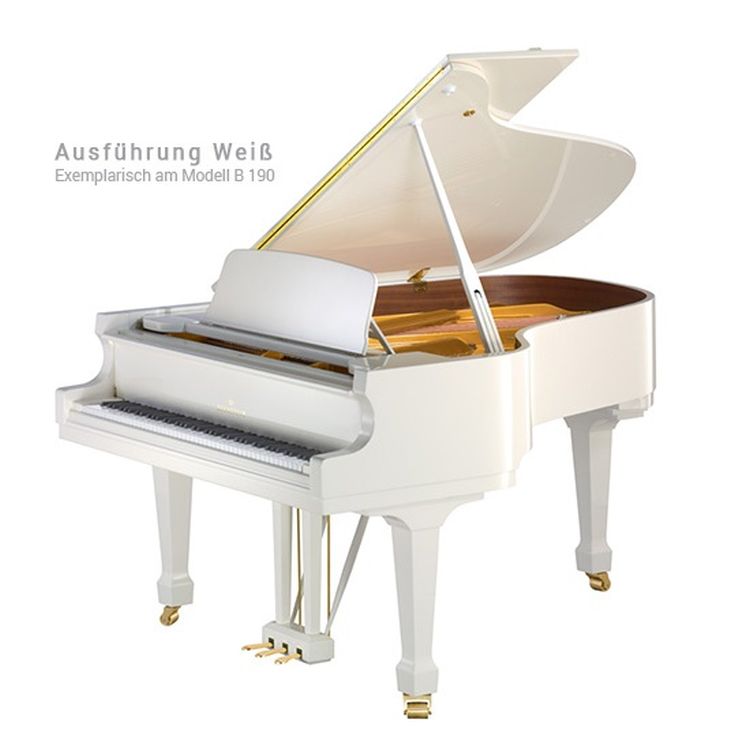 Fluegel-C-Bechstein-Modell-Concert-D-282-weiss-pol_0001.jpg