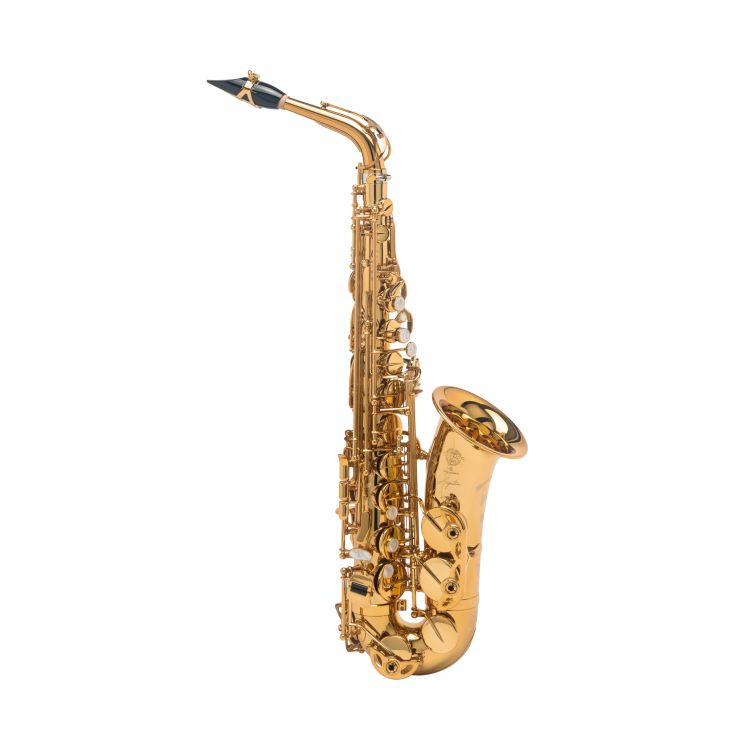 Alt-Saxophon-Selmer-Signature-lackiert-_0001.jpg