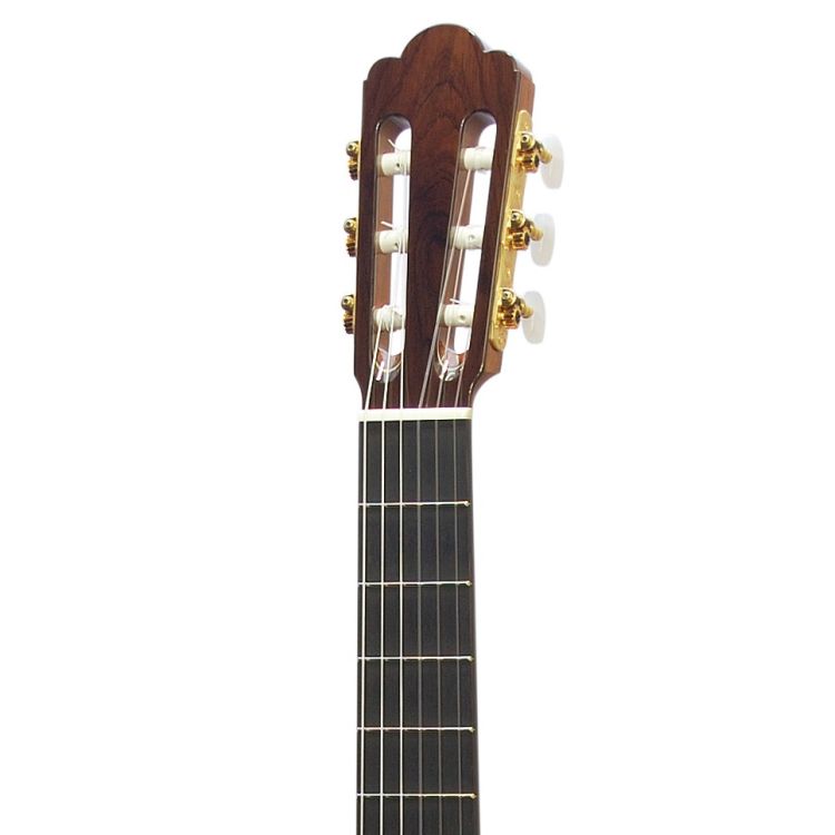 klassische-Gitarre-Asturias-Modell-Custom-C-Zeder-_0002.jpg