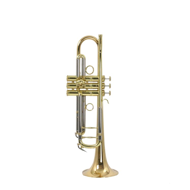 B-Trompete-Carol-Brass-Advanced-lackiert-_0004.jpg