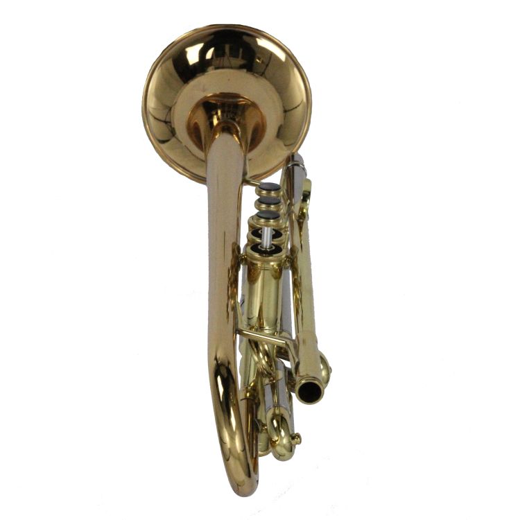 B-Trompete-Carol-Brass-Advanced-lackiert-_0005.jpg