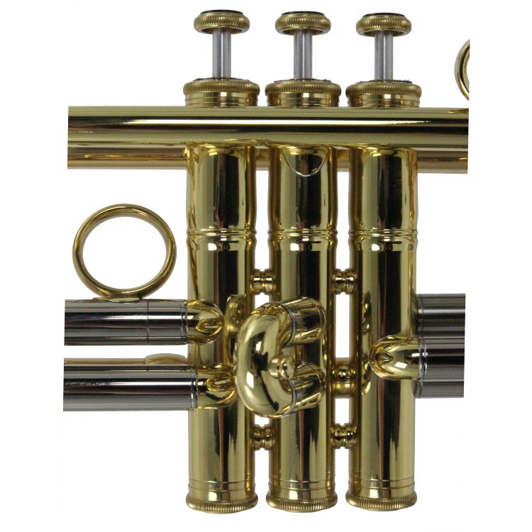 B-Trompete-Carol-Brass-Advanced-lackiert-_0013.jpg