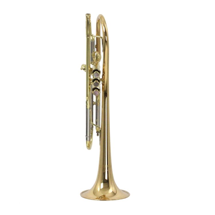 B-Trompete-Carol-Brass-Up-lackiert-_0002.jpg