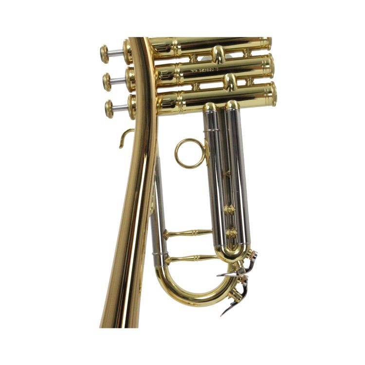 B-Trompete-Carol-Brass-Up-lackiert-_0005.jpg