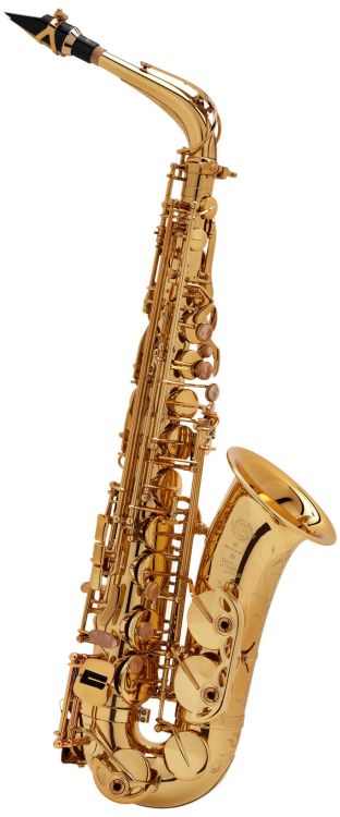 Alt-Saxophon-Selmer-SA-80-Serie-II-lackiert-_0002.jpg