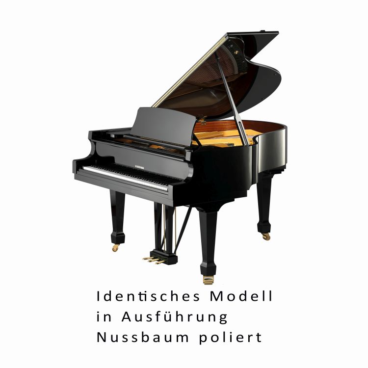 Fluegel-W-Hoffmann-Modell-Tradition-177-Nussbaum-M_0001.jpg