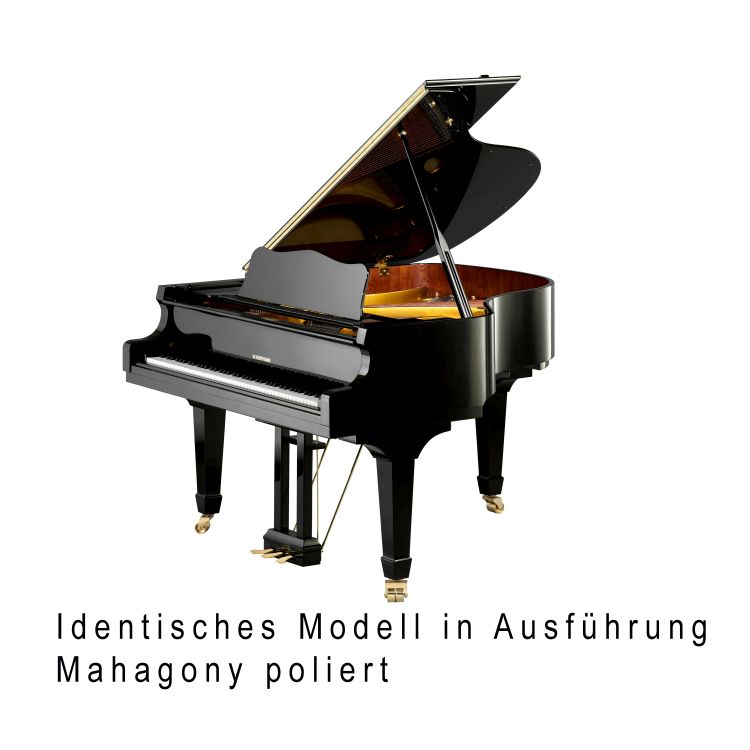 Fluegel-W-Hoffmann-Modell-Vision-V-158-Mahagoni-Me_0001.jpg