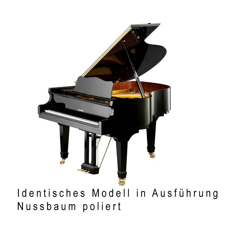 Fluegel-W-Hoffmann-Modell-Vision-V-158-Nussbaum-Me_0001.jpg