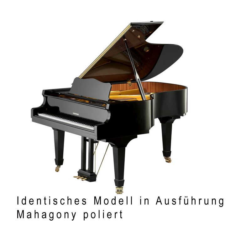 Fluegel-W-Hoffmann-Modell-Vision-V-183-Mahagoni-Me_0001.jpg