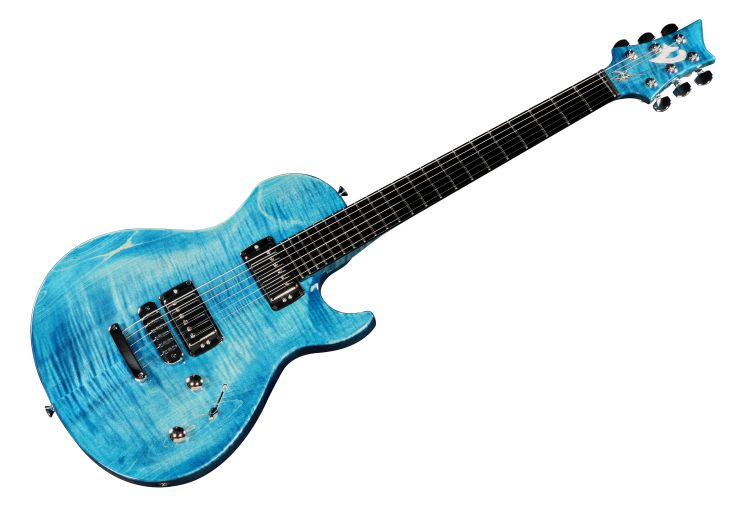 E-Gitarre-Vigier-Modell-G-V-Wood-blau-_0001.jpg