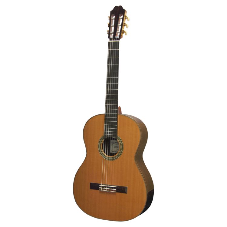 klassische-Gitarre-Asturias-Modell-Double-Top-Ceda_0001.jpg