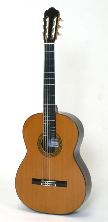 klassische-Gitarre-Asturias-Modell-Standard-C-Ceda_0001.jpg