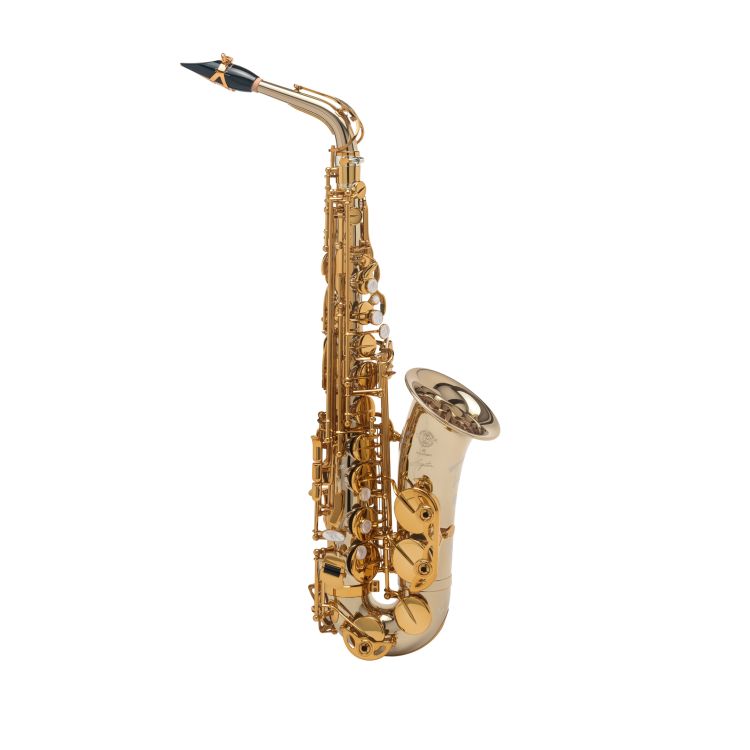 Alt-Saxophon-Selmer-Signature-lackiert-_0001.jpg