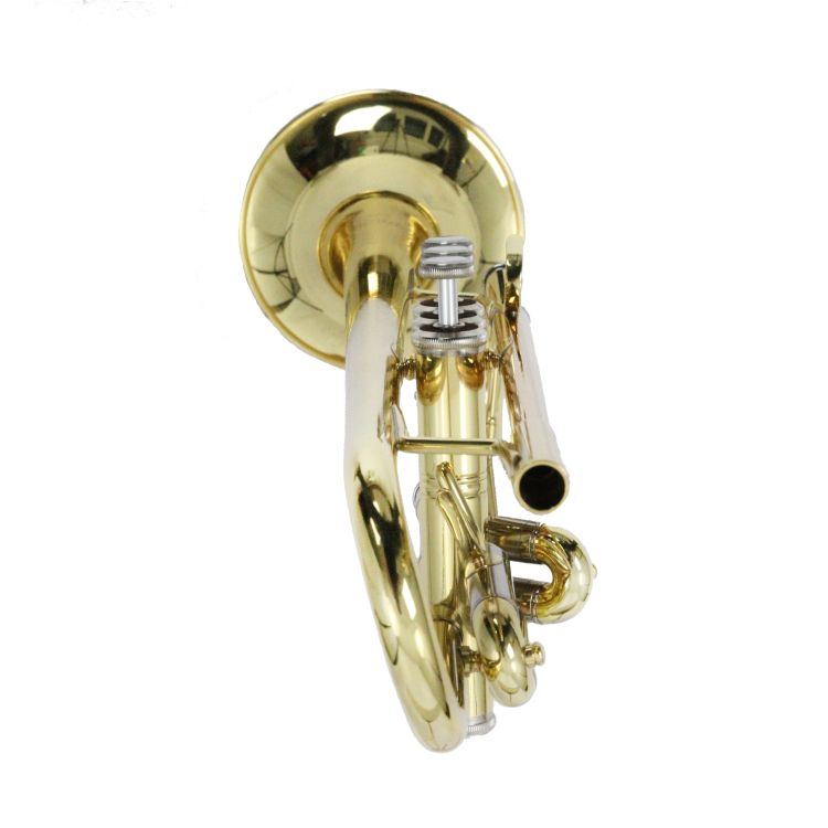 B-Trompete-Carol-Brass-Basic-lackiert-_0005.jpg