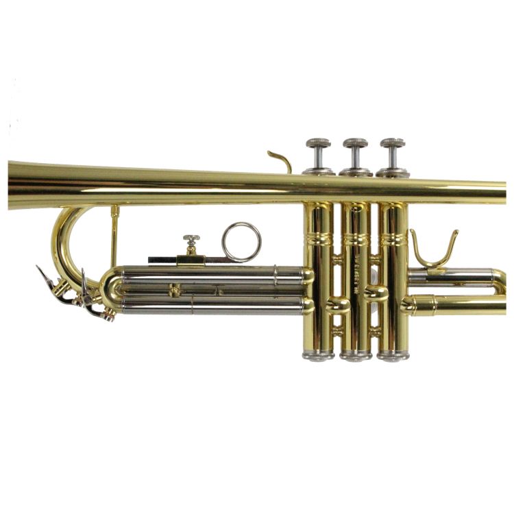 B-Trompete-Carol-Brass-Basic-lackiert-_0007.jpg