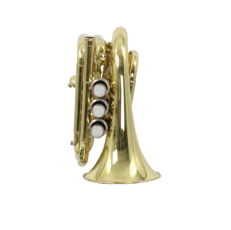 B-Trompete-Carol-Brass-Mini-lackiert-_0002.jpg