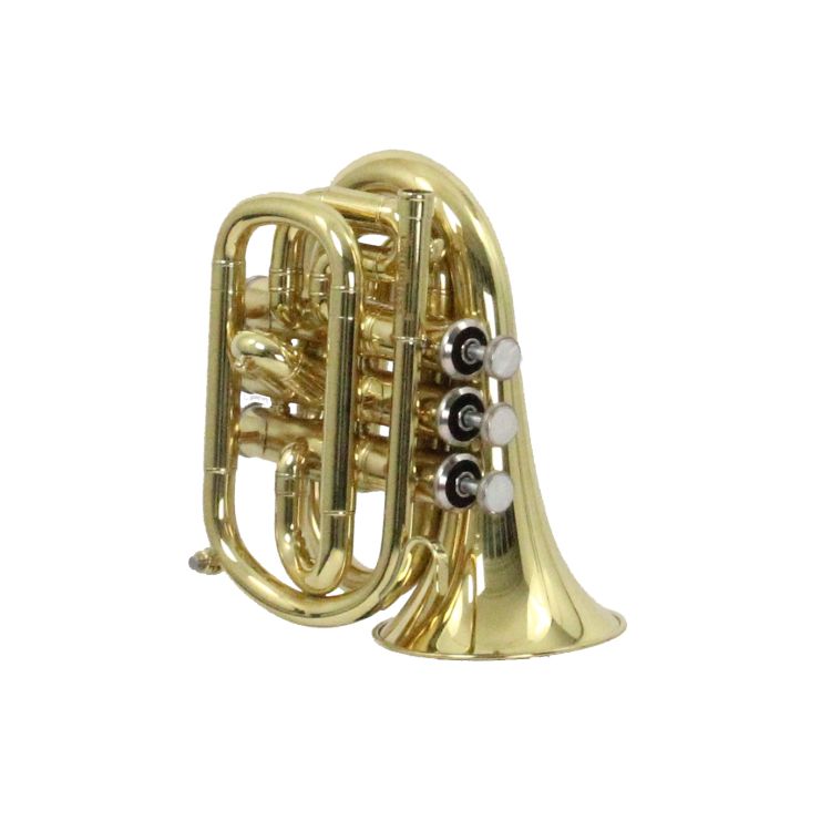 B-Trompete-Carol-Brass-Mini-lackiert-_0003.jpg