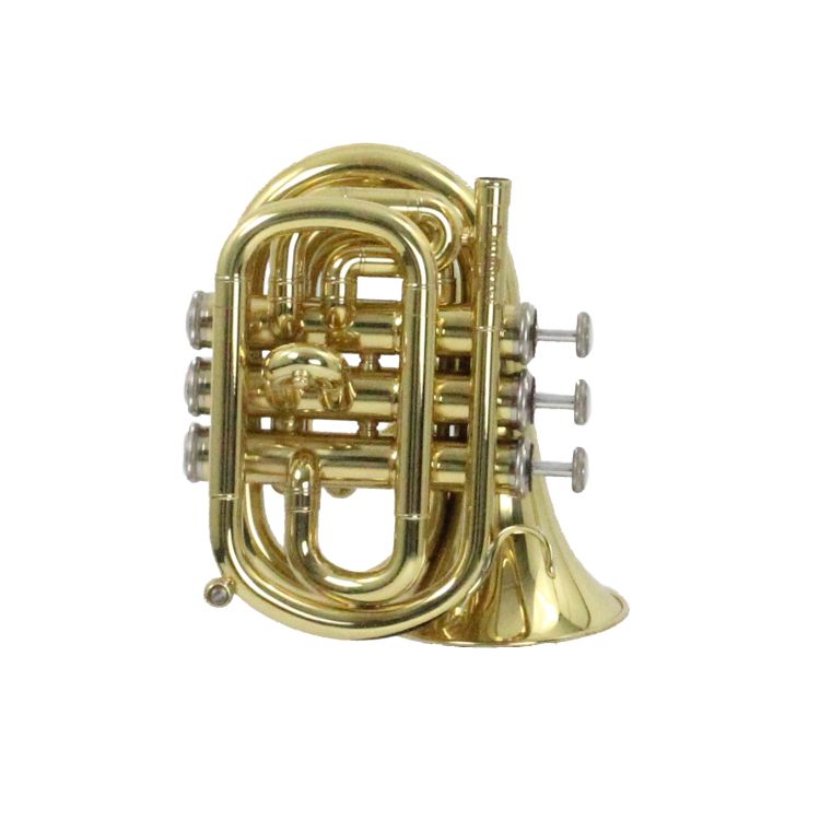 B-Trompete-Carol-Brass-Mini-lackiert-_0004.jpg