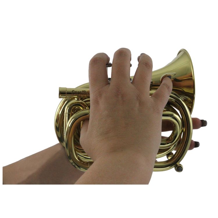 B-Trompete-Carol-Brass-Mini-lackiert-_0009.jpg