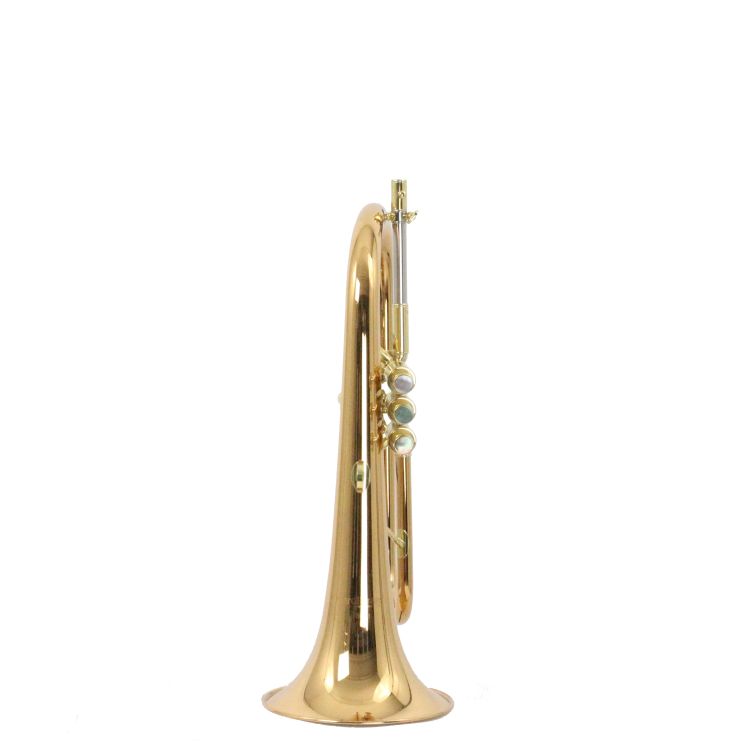 Fluegelhorn-Carol-Brass-Rose-lackiert-_0002.jpg
