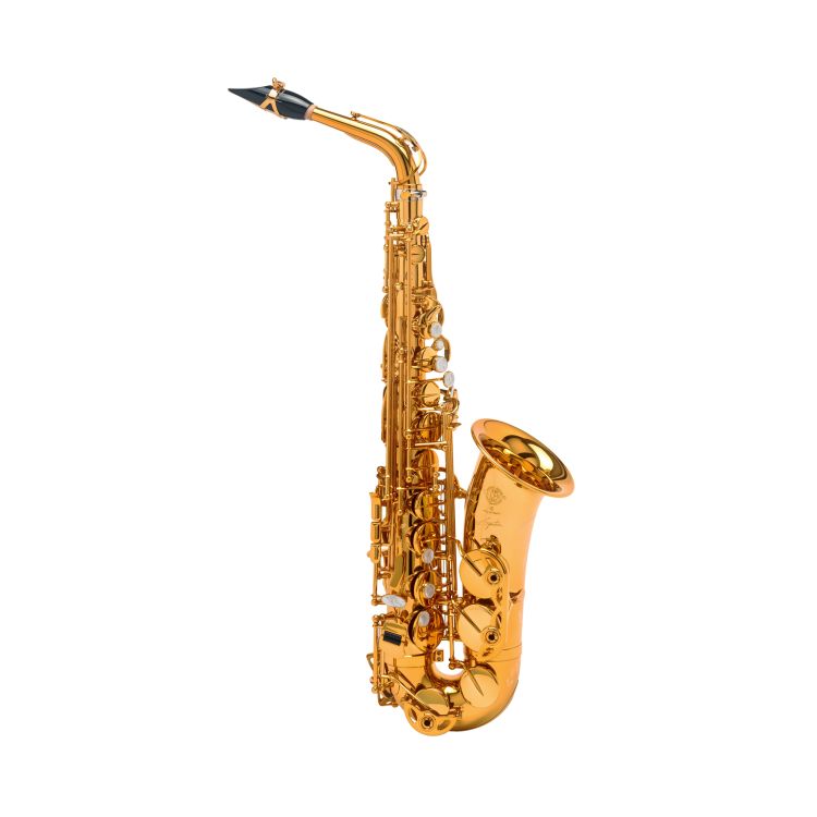Alt-Saxophon-Selmer-Signature-poliert-_0001.jpg