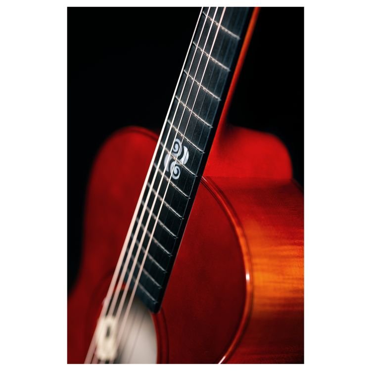 Westerngitarre-Lakewood-Modell-C-20-Edition-2023-B_0003.jpg