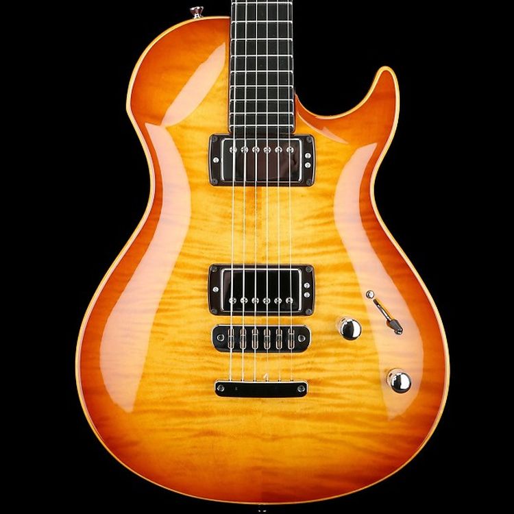 E-Gitarre-Vigier-Modell-G-V-Wood-Amber-amber-_0002.jpg